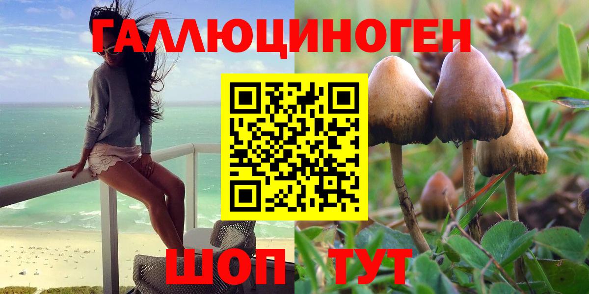Псилоцибиновые грибы Cubensis  Галлюциногенные грибы GOLDEN TEACHER  Вход с VPN  Гудермес 