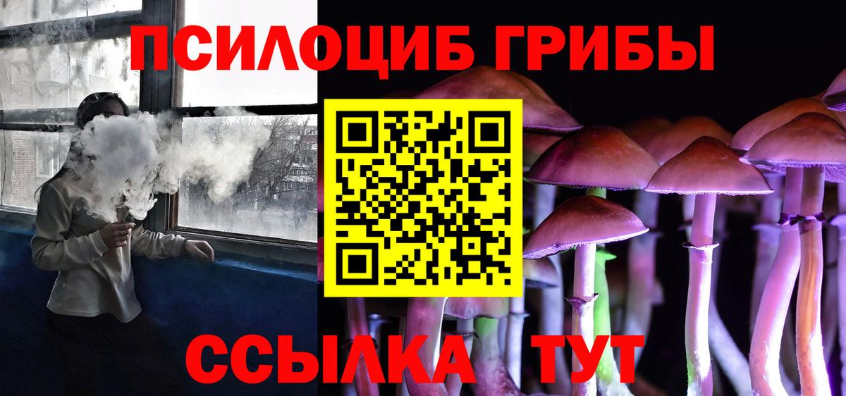 Галлюциногенные грибы прущие грибы Гудермес
